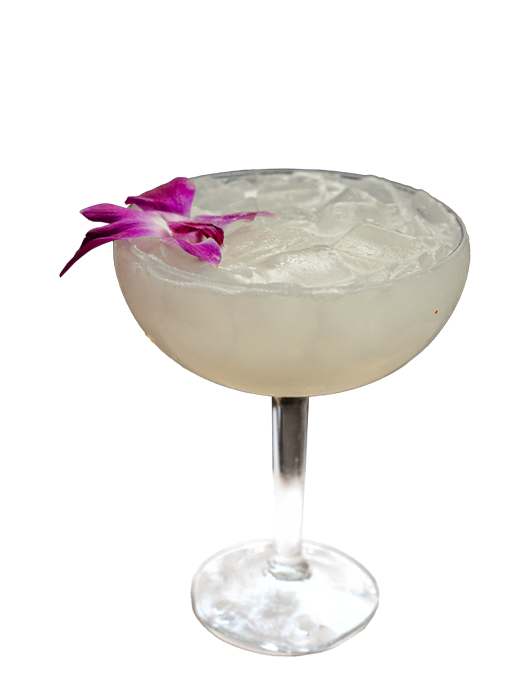 coco margarita